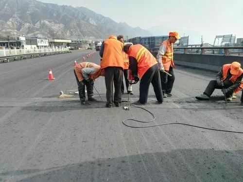 西和道路桥梁病害治理